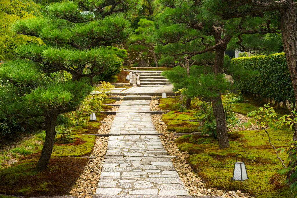 庭園への道