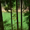 翠色の池