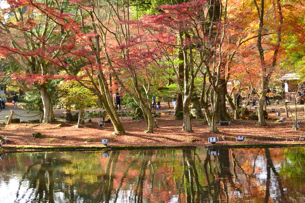 池に映える紅葉