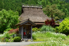 懐かしい風景