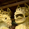 阿形（右）　吽形（左）