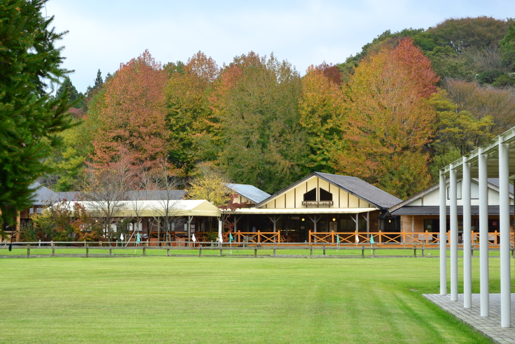 リゾートの紅葉