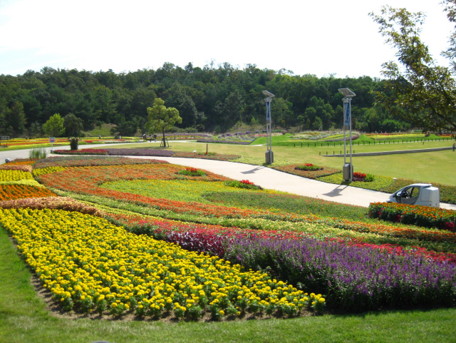 愛・地球博記念公園　愛知万博１０周年