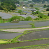 水を張った棚田