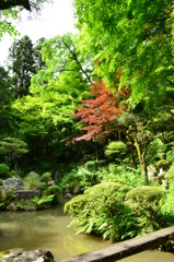 内々神社庭園