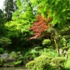 内々神社庭園