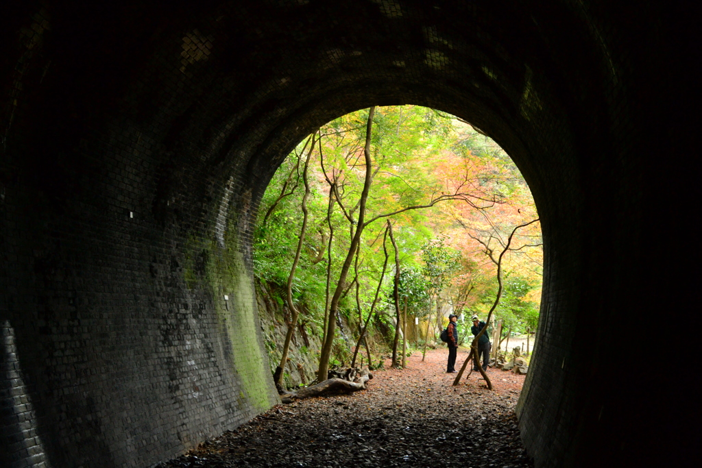 トンネルの向こうには紅葉が・・・