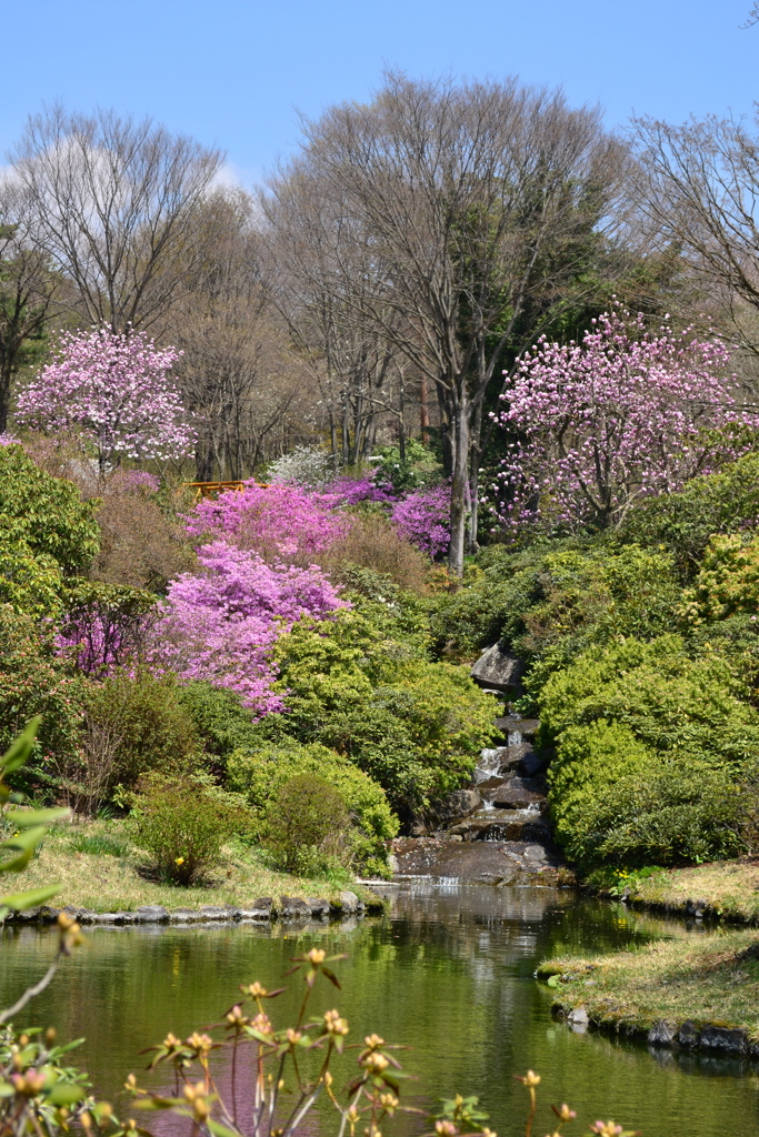 赤城自然園