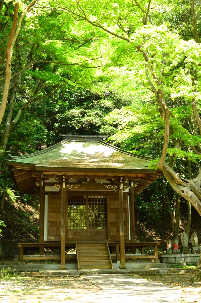 新緑のお堂