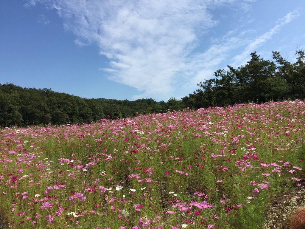 愛・地球博記念公園