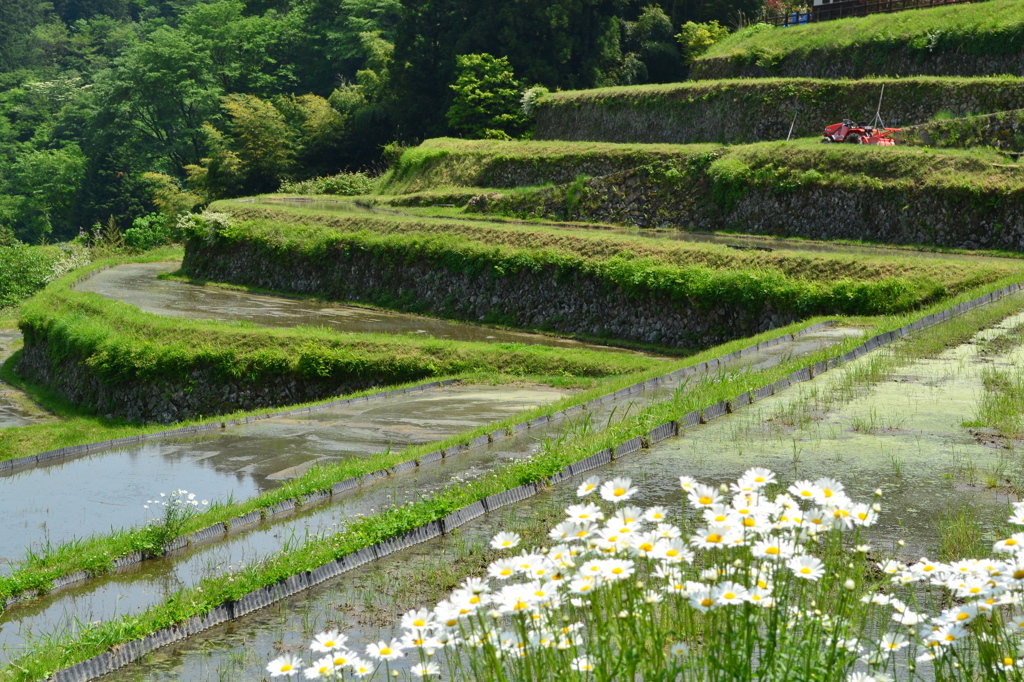 田植え前の坂折棚田