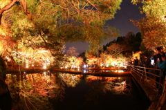 曾木公園～ライトアップ