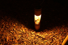 落ち葉のライトアップ