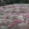 いなべ市農業公園