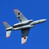 岐阜基地航空祭2015