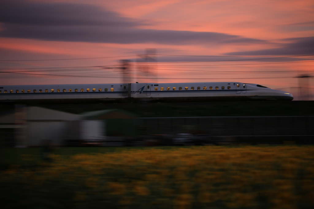 ひかりのある夕景