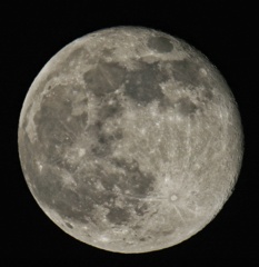 スーパームーン後　十六夜