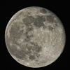 スーパームーン後　十六夜
