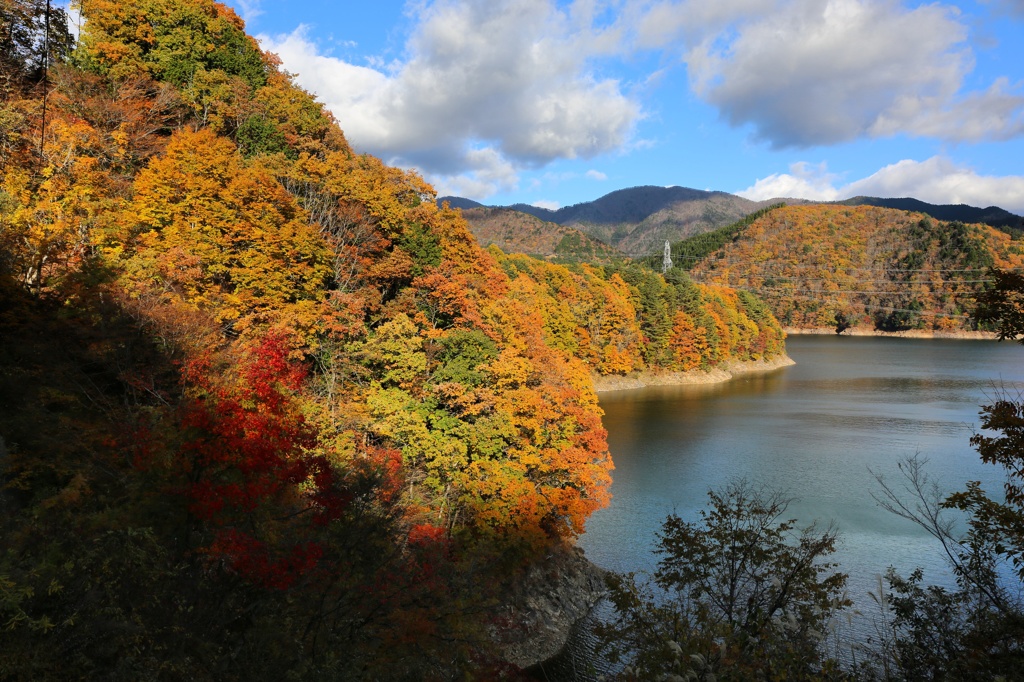 御母衣湖の紅葉