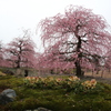 鈴鹿の森庭園