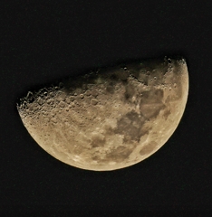 上弦の月だったっけ…ひさしぶりだね…♪月見るなんて…♫