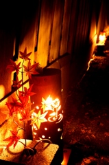 ひかりアート　もみじ