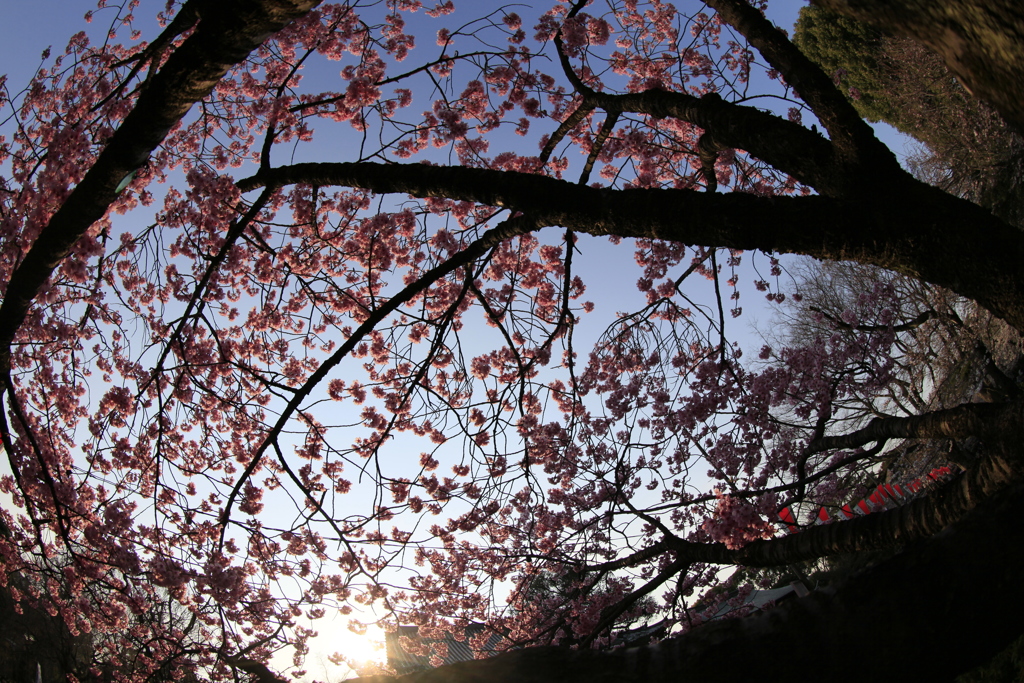 上野公園ですね！