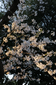 輝き