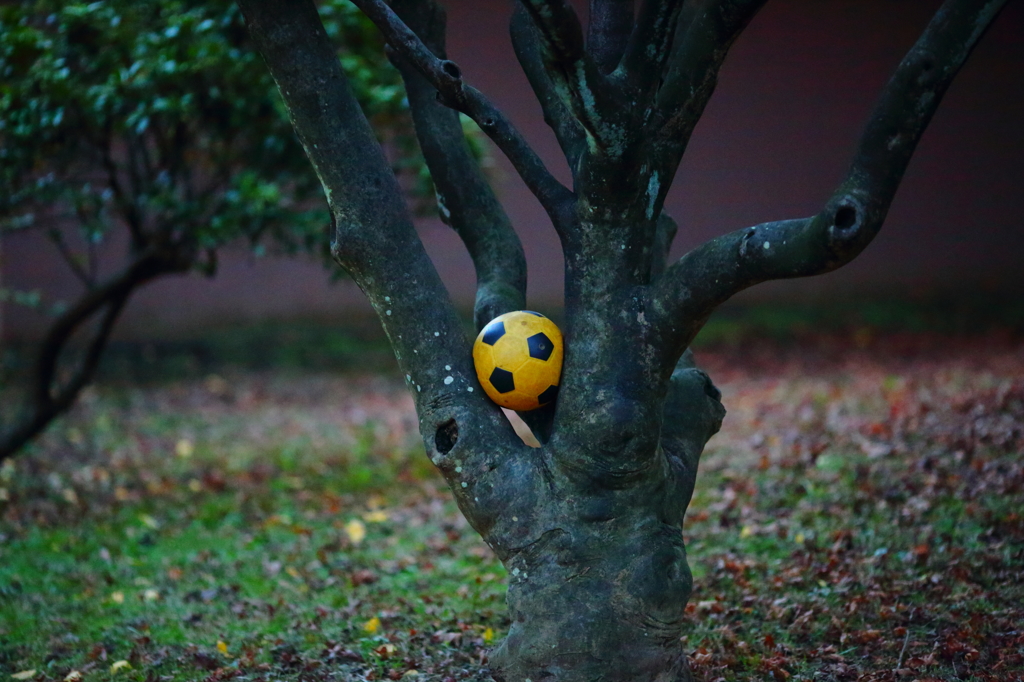 サッカーボール