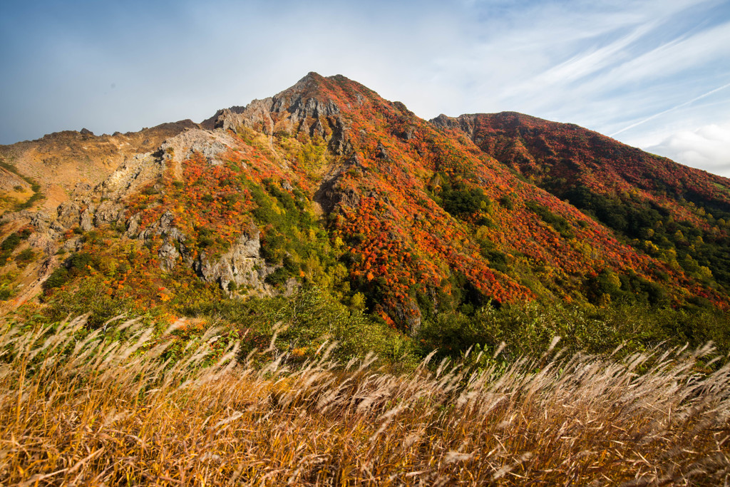 那須高原紅葉