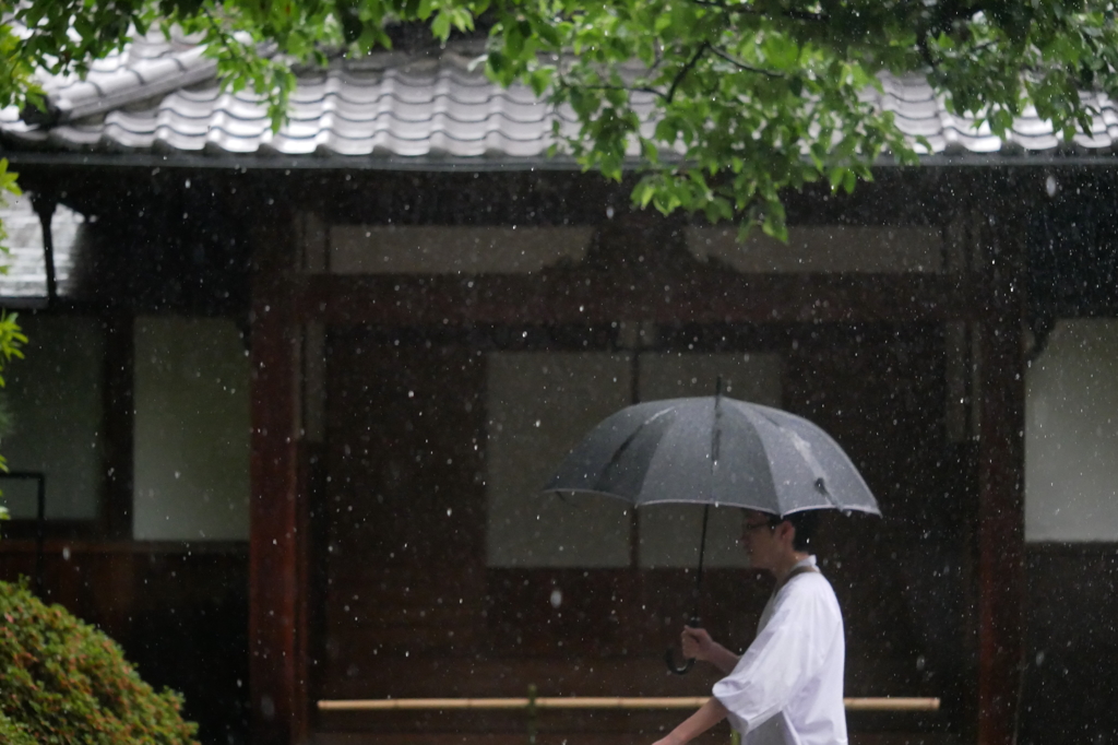 雨のお務め