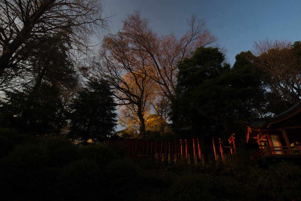 神社朝日