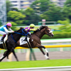 雨の中の府中競馬場