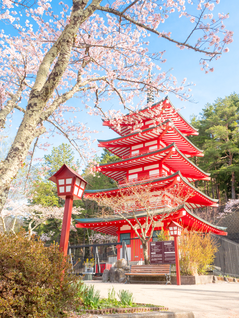 新倉山浅間公園　慰霊塔にて