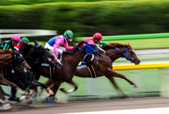 雨の中の府中競馬場３