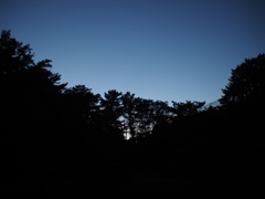 グラデーション