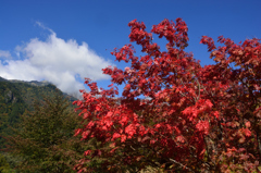 新穂高　紅葉