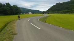 一路