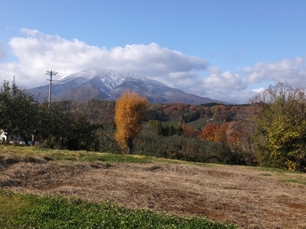 岩木山　秋