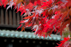 幾年も