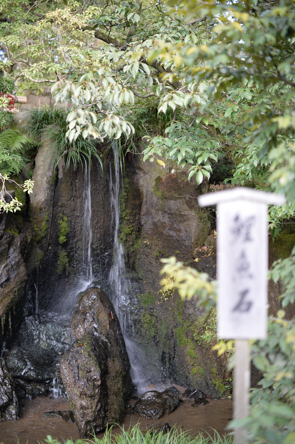 龍門瀑・鯉魚石