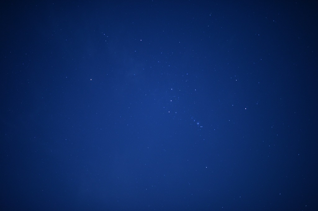 Orion