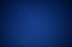 Orion