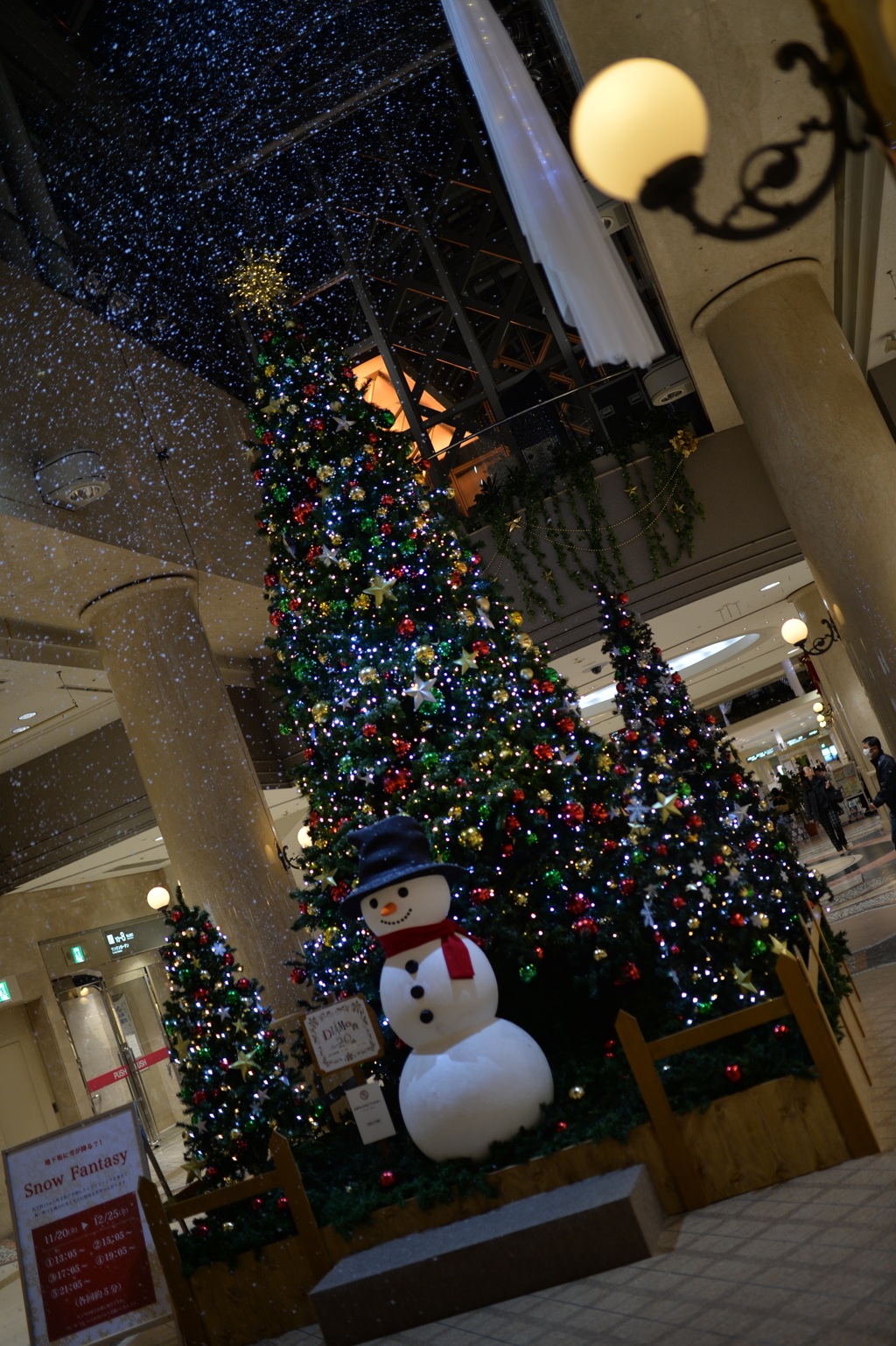 クリスマスツリー