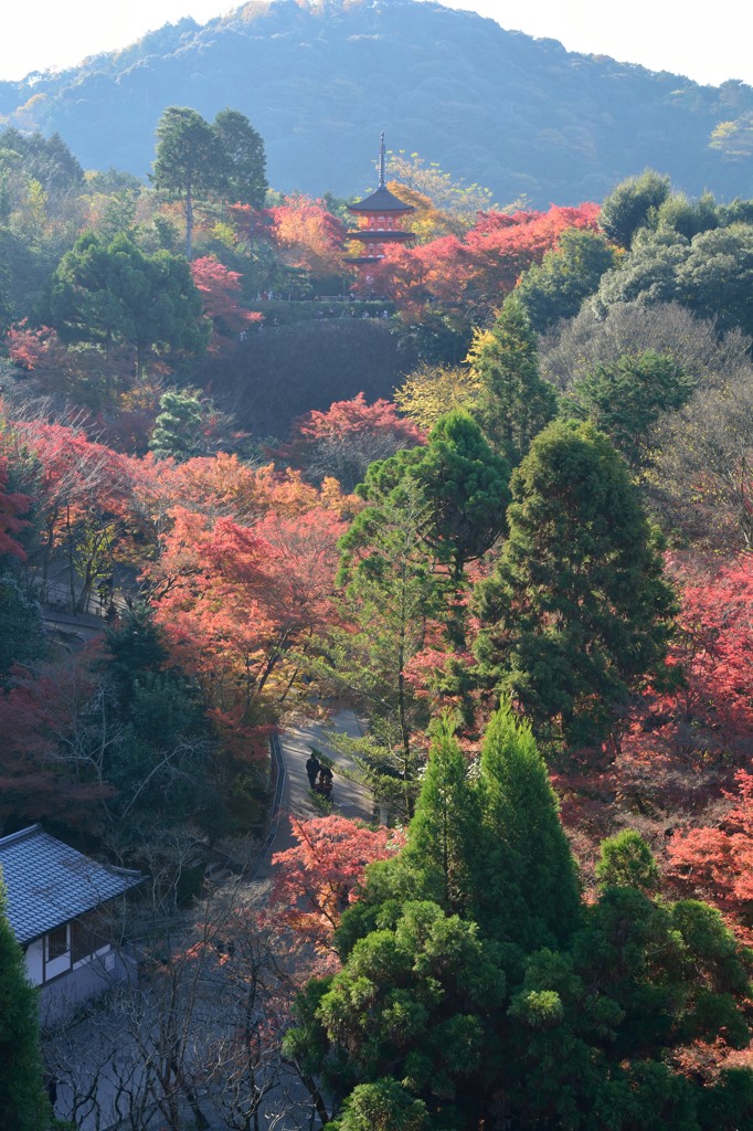 清水舞台の眺め