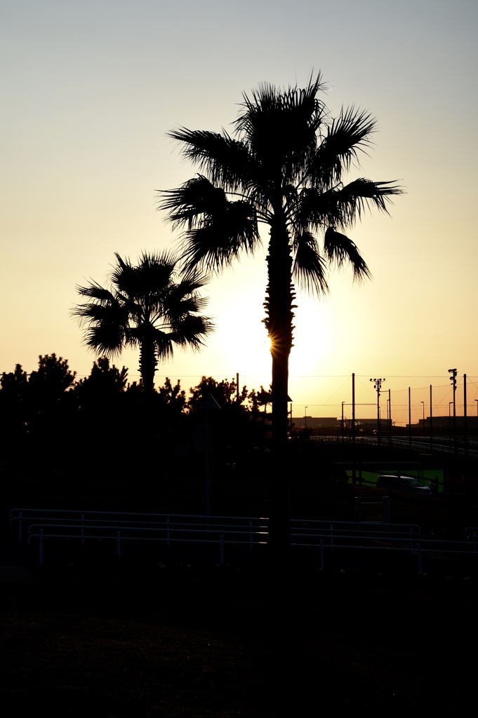 夕暮れ