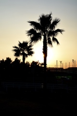 夕暮れ