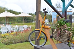 Green bicycle