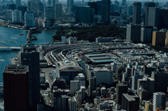 築地市場