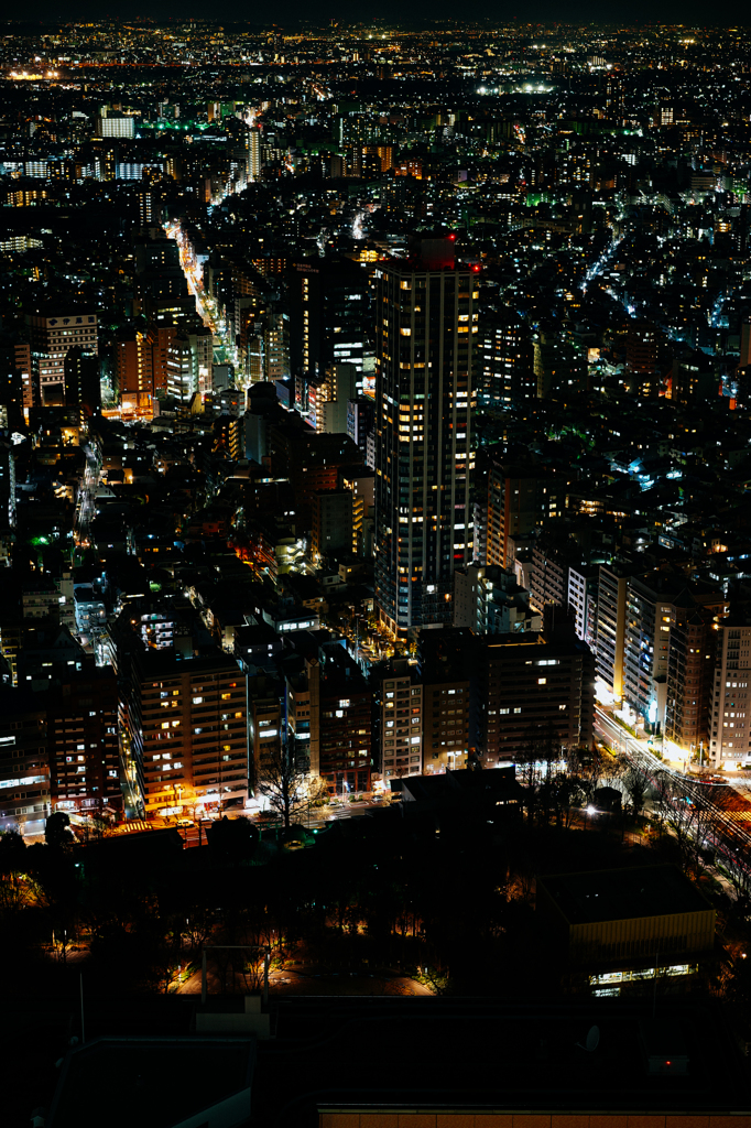 新宿住友ビルより